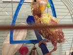     
: 20180624_152647.jpg
: 11
:	92.1 
ID:	12761678
