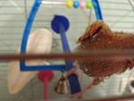     
: 20180624_152658.jpg
: 17
:	80.0 
ID:	12761682