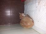     
: IMG-526d7cdd761e8d48c890a1aa686b14e5-V.jpg
: 5
:	116.6 
ID:	12762460
