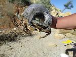     
: DSC04976.jpg
: 102
:	195.1 
ID:	12762934
