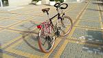     
: IMG_20180626_181747.jpg
: 25
:	165.4 
ID:	12764474