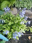     
: P80627-083254.jpg
: 15
:	186.4 
ID:	12765013
