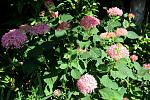     
: IMG_2232.jpg
: 17
:	160.6 
ID:	12765516