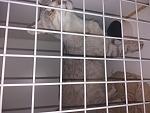     
: 20180626_140222.jpg
: 81
:	118.9 
ID:	12765563
