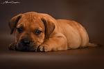     
: DSC_5135.jpg
: 27
:	64.0 
ID:	12765631