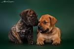     
: DSC_5192.jpg
: 28
:	82.6 
ID:	12765632
