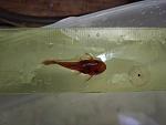     
: IMG_20180628_142932_BURST8.jpg
: 19
:	85.9 
ID:	12766225