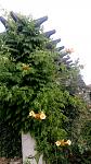     
: IMG_20180623_141815.jpg
: 25
:	118.7 
ID:	12766730