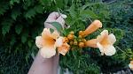     
: IMG_20180623_141754.jpg
: 30
:	99.8 
ID:	12766731