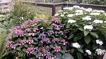    
: IMG_20180623_140004.jpg
: 25
:	226.5 
ID:	12766740