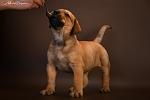     
: DSC_5165.jpg
: 18
:	60.8 
ID:	12766754