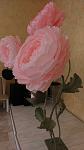     
: IMAG1967.jpg
: 69
:	49.9 
ID:	12768513