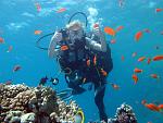     
: IMG_6178.jpg
: 26
:	142.0 
ID:	12772534