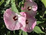     
: 088D06F1-A9C5-4340-B657-B29F8318D722.jpg
: 14
:	107.4 
ID:	12772785