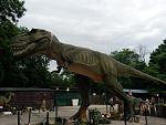     
: 20180616_193126.jpg
: 31
:	132.3 
ID:	12773097