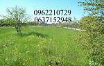     
: EE5ZGdvuiM0.jpg
: 12
:	273.9 
ID:	12773987