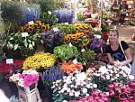     
: 20130708_144504.jpg
: 44
:	271.9 
ID:	12774013