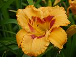     
: P1540126.jpg
: 10
:	86.5 
ID:	12774086
