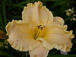     
: P1570554.jpg
: 12
:	79.2 
ID:	12774119
