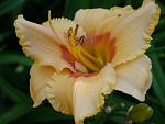     
: P1580227.jpg
: 15
:	74.6 
ID:	12774205