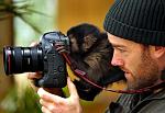     
: 1277961667_prikoly136-38.jpg
: 53
:	46.6 
ID:	1277571