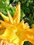     
: 5sqXeATmR_U.jpg
: 17
:	80.2 
ID:	12778792