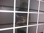    
: 20180707_153239.jpg
: 75
:	78.7 
ID:	12778890