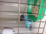     
: 20180707_153205.jpg
: 18
:	108.7 
ID:	12778894