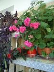     
: kMT9F6FiJTs.jpg
: 13
:	130.2 
ID:	12778896