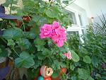     
: DSC00545.jpg
: 10
:	139.5 
ID:	12778897