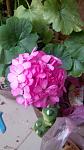     
: IMG_20180705_152955.jpg
: 11
:	67.9 
ID:	12778898