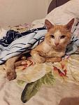     
: IMG-c5c13005b8e4487fe457d795e53c1ef0-V.jpg
: 10
:	84.8 
ID:	12778969