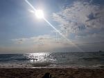     
: 20180709_080532.jpg
: 32
:	135.8 
ID:	12780010