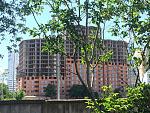     
: IMG_6905.jpg
: 38
:	274.9 
ID:	12780391
