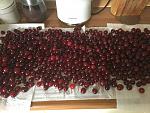     
: IMG_2419.jpg
: 17
:	146.4 
ID:	12781016