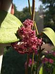     
: IMG_20180707_091646.jpg
: 14
:	80.0 
ID:	12784092