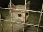     
: DSC00027.jpg
: 50
:	82.9 
ID:	1278414