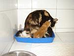     
: DSC00041.jpg
: 64
:	93.0 
ID:	1278424