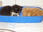     
: DSC00024.jpg
: 60
:	93.7 
ID:	1278426