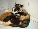     
: DSC00044.jpg
: 64
:	120.2 
ID:	1278460