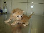     
: DSC00081.jpg
: 33
:	66.6 
ID:	1278495