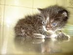     
: DSC00065.jpg
: 36
:	117.1 
ID:	1278497