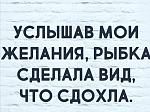     
: 20180714_011005.jpg
: 6
:	49.8 
ID:	12786542