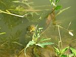     
: P7010165.jpg
: 46
:	149.7 
ID:	1278763