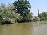     
: P7010213.jpg
: 21
:	257.4 
ID:	1278792