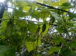     
: P80713-105456.jpg
: 113
:	191.2 
ID:	12791030