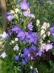     
: P80705-183313.jpg
: 17
:	151.2 
ID:	12791067