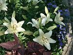     
: DSC04822.jpg
: 13
:	172.5 
ID:	12791072