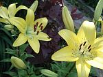     
: DSC04837.jpg
: 13
:	109.7 
ID:	12791077