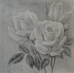     
: rozi2_litle.jpg
: 12
:	104.0 
ID:	12791945